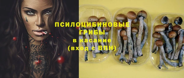 метадон Абаза