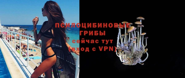 стаф Алексин