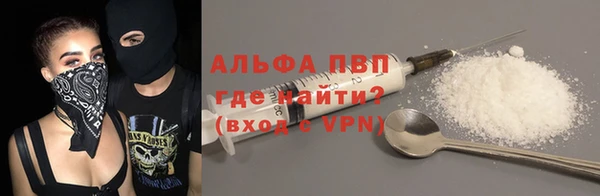 стаф Алексин
