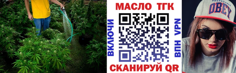 ТГК THC oil  omg ONION  Новоалтайск 