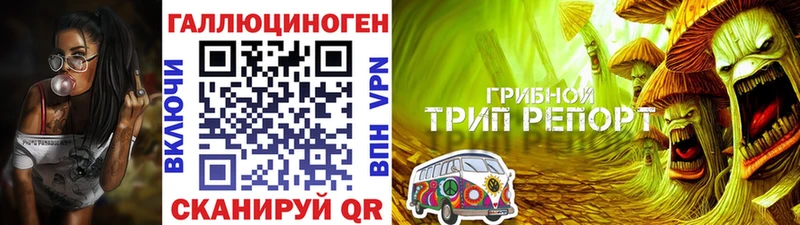цены наркотик  Новоалтайск  Галлюциногенные грибы GOLDEN TEACHER 