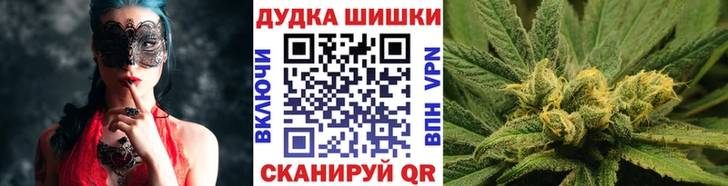 как найти наркотики  Новоалтайск  Бошки марихуана план 